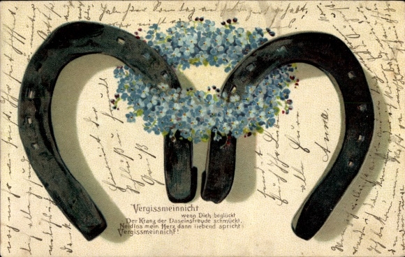 Postcard Forget-me-not, horseshoe