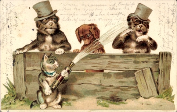 Chromo-Litho Humanized dogs, cat spraying dogs with water