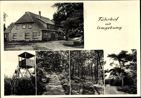 Postcard Hellwege Sottrum Lower Saxony, Fährhof, forest area, Jägerturm