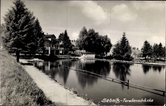 Ak Sebnitz Sächsische Schweiz, Sebnitz-Forellenschänke, Teich, Bäume, Gebäude