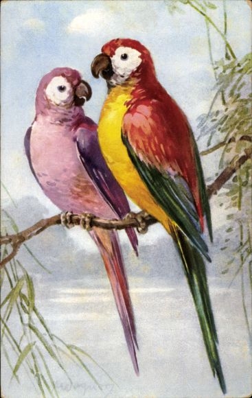 Artist Postcard Two Parrots on a Branch, Violet and Red