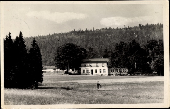 Postcard Elterlein in the Ore Mountains, Finkenburg, forest