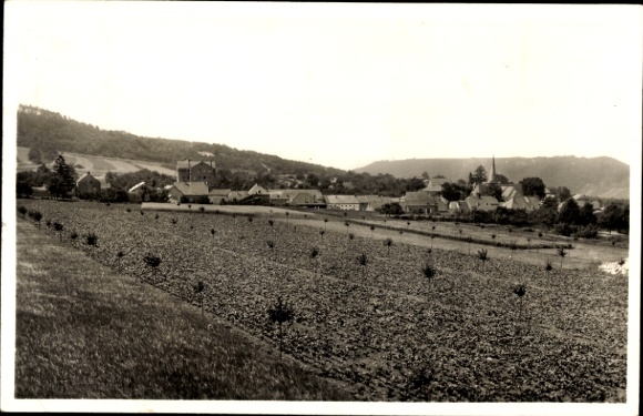 Postcard Perl on the Moselle, panorama