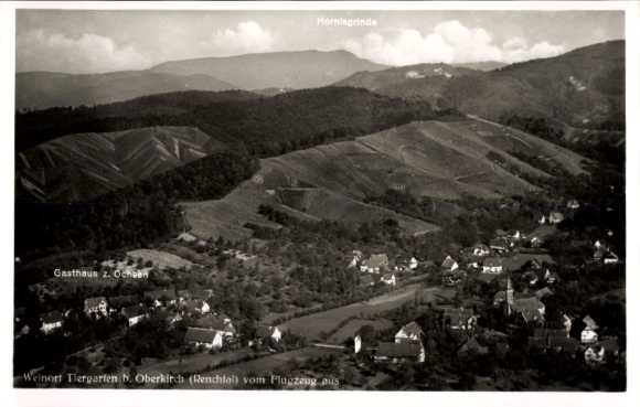 Ak Tiergarten Oberkirch in Baden Württemberg, Luftaufnahme von Weinort Tiergarten, Gasthaus z. Oc