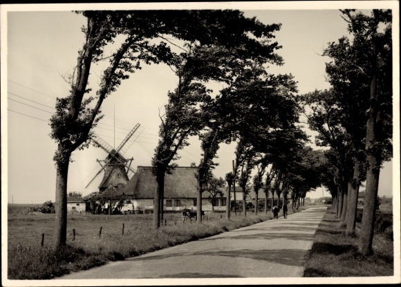 Postcard Barsfleth Nordermeldorf in Dithmarschen, street in the march, windmill