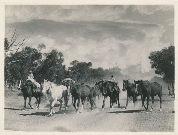Photo North Queensland Australien, Overlanders on Way to Gulf Country for Cattle