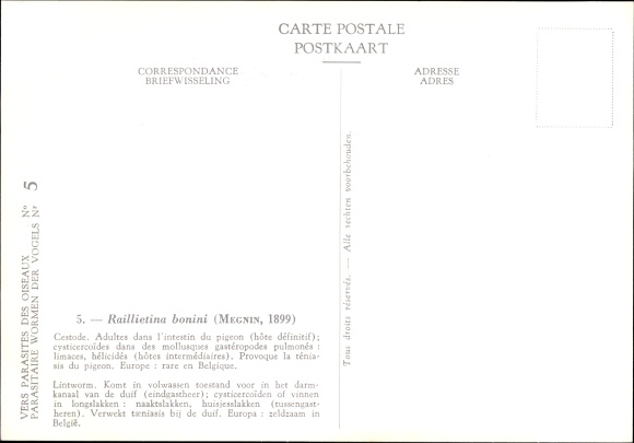 Postcard Raillietina bonini, Parasit, Royal Belgian Institute of Natural Sciences
