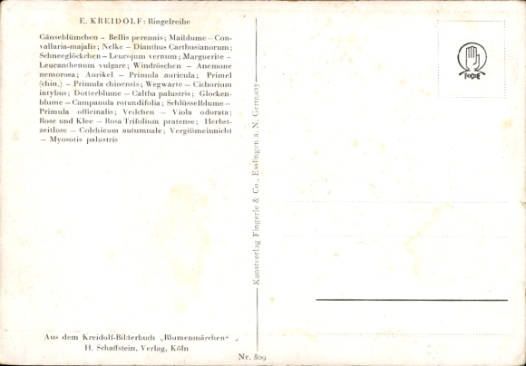 Artist Postcard Kreidolf, E., Ringelreihe, Daisies