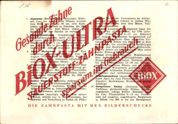 Timetable advertising BIOX-Ultra toothpaste, picture checks, flowers, plants around 1960
