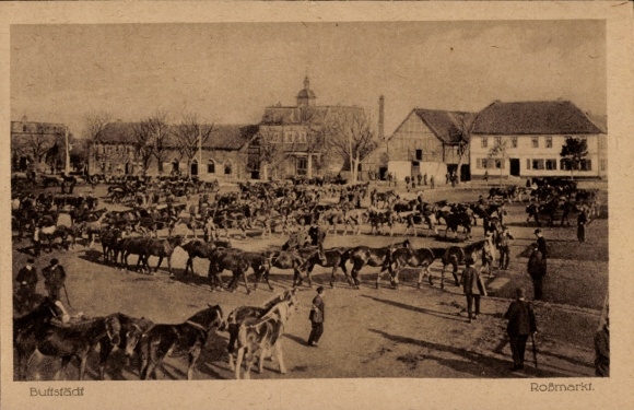 Postcard Buttstädt Thuringia, Rossmarkt, horse market