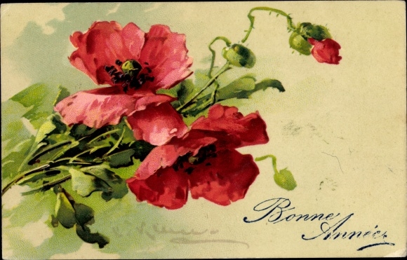 Künstler Litho Klein, Catharina, Mohnblumen, Blüten und Knospen