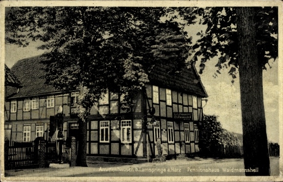 Postcard Ammenhausen Lamspringe in Lower Saxony, guest and pension house Waidmannsheil