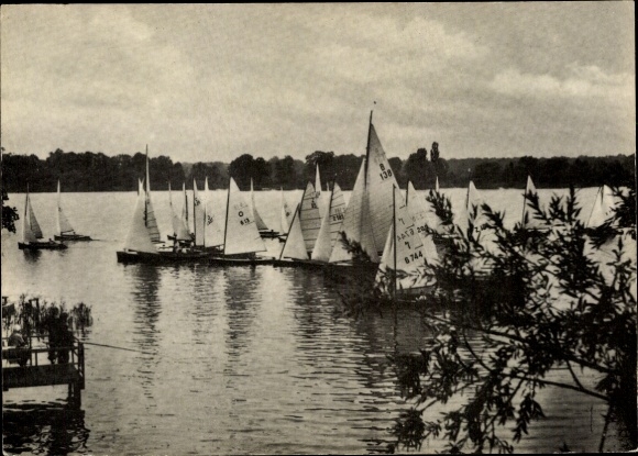 Ak Berlin Köpenick Schmöckwitz, zeilregatta op de Oberhavel, veel boten met zeilen, rustig...