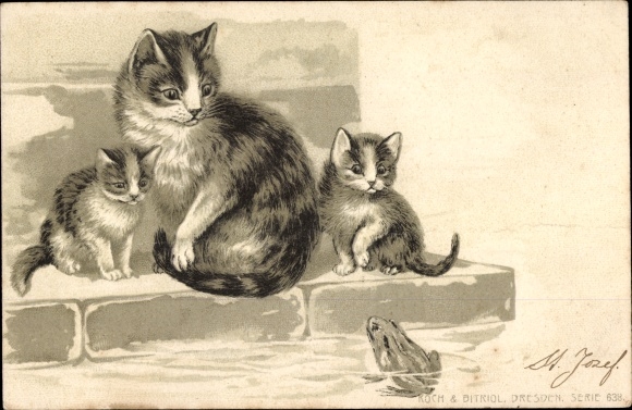 Chromo-Litho cat family, cats, frog