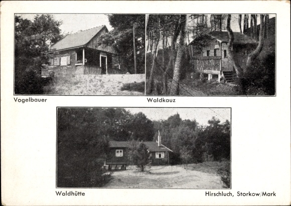 Postcard Storkow in the Mark, deer luch, bird cage, tawny owl, forest hut