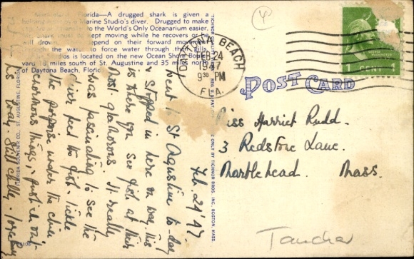 Postcard Florida USA, Marineland, Marine Studios, diver with a sedated shark