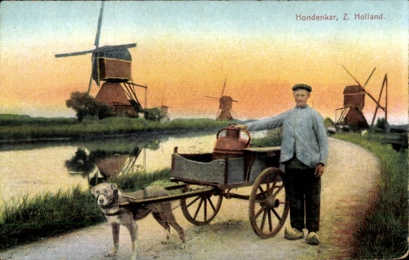 Postcard South Holland, dog cart, windmills