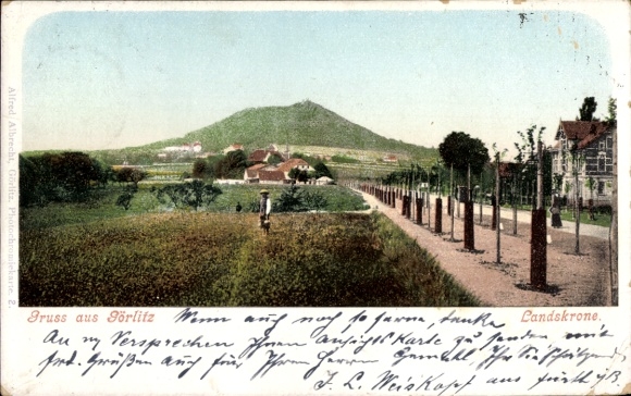 Ak Görlitz in der Lausitz, Landschaft mit dem Hügel Landskrone, Weinreben, Häuser, Person im Feld
