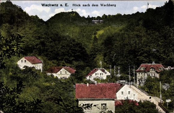 Postcard Dresden Wachwitz, view of the Wachberg, houses