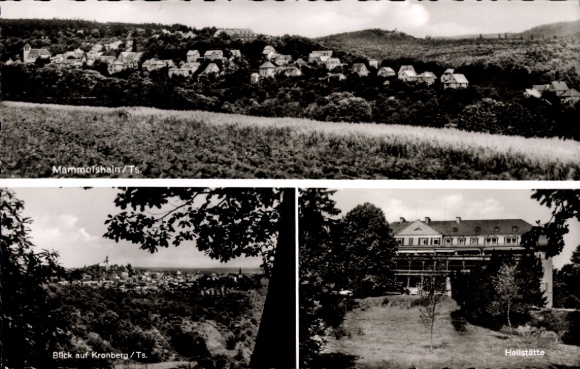 Postcard Mammolshain Königstein im Taunus, view of Kronberg, sanatorium