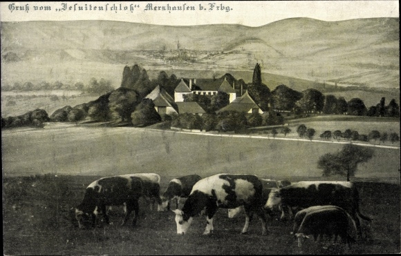Ak Merzhausen im Breisgau, Jesuitenschloss, Panorama, Kuhweide