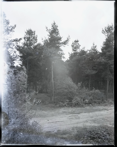 9 celluloid negatives Aschwarden Schwanewede in Lower Saxony, mill, house, forest