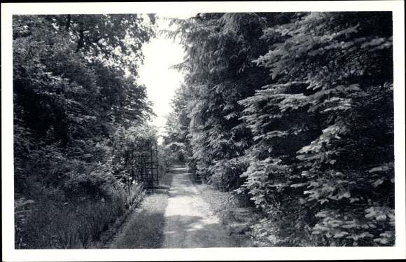 PC Hamburg North Alsterdorf, Alsterdorf institutions, in the sister garden, Lachmund