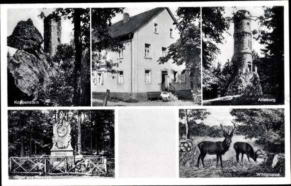 Postcard Seesbach im Hunsrück, Koppenstein, Alteburg, Wildgruppe, Gasthof Alteburg Trifthütte