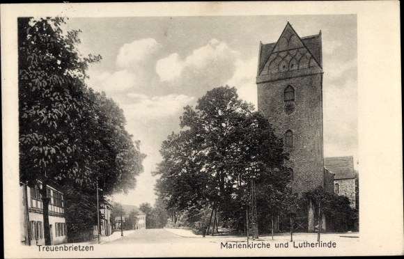 Postcard Treuenbrietzen in Brandenburg, Marienkirche, Lutherlinde
