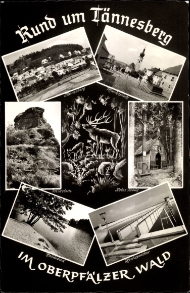 Postcard Tännesberg in the Upper Palatinate, panorama, high storage, deer, natural pool, market place