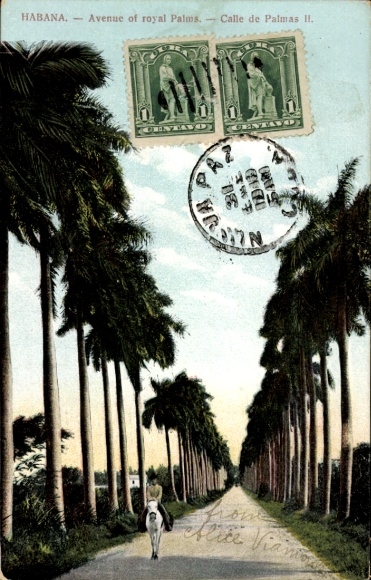 PC Havana Habana Cuba, Avenue of Royal Palms, Calle de Palmas II, postmark, two stamps