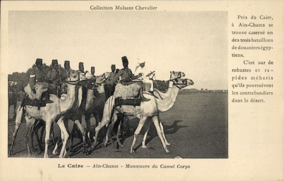 KP Ain Chams Kair Egipt, Maneuver du Camel Corps
