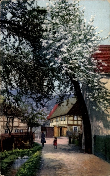 Postcard local section, half-timbered house, blossoming trees