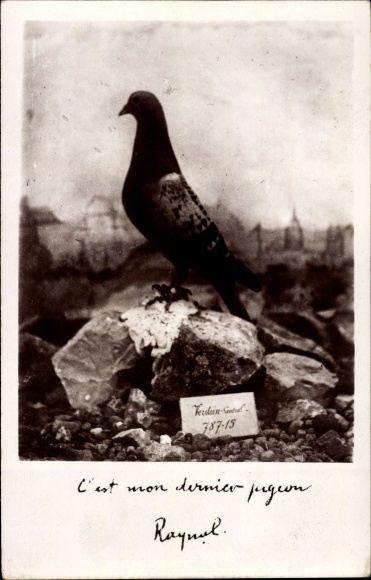 Postcard C&#39;est mon dernier pigeon, Raynal, carrier pigeon, I. WK