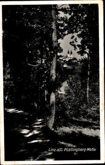 Ak Altleiningen in der Pfalz, Luftaufnahme von  Ruine, ländliche Umgebung