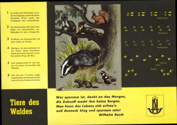 Timetable Neue Sparkasse Hamburg, animals of the forest squirrel marten around 1960