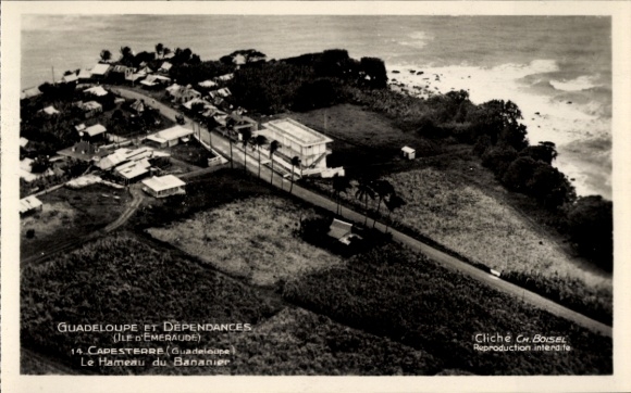 KP Capesterre Guadeloupe, Chameau du Bananier