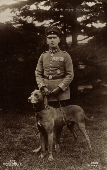 Postcard First Lieutenant Immelmann with dog Tyras, portrait, Sanke 362, Liersch 7718