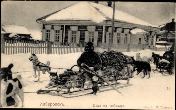 Postcard Khabarovsk Russia, dog sledding in winter