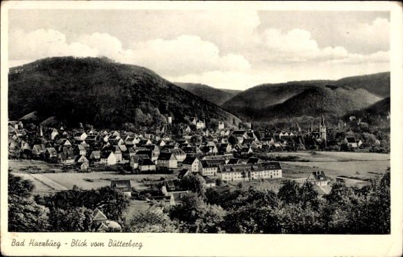 Ak Bad Harzburg am Harz, Butterberg, Gesamtansicht