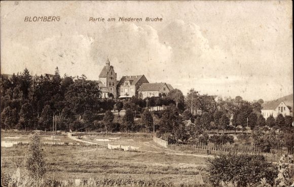 Ak Blomberg in Lippe, Blick auf  Niederen Bruche,  Architektur, Natur