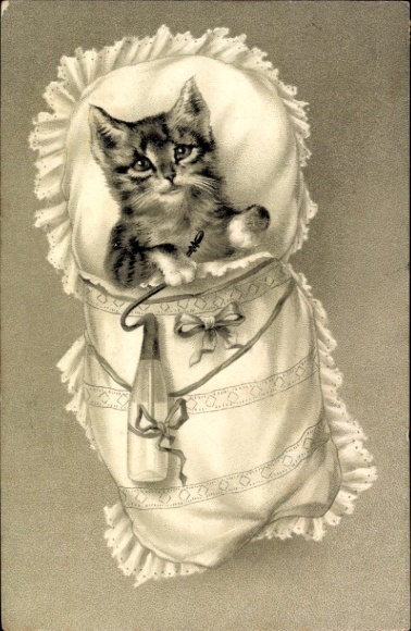 Litho Junge Katze, Milchflasche