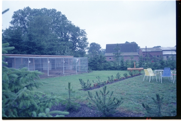5 celluloid negatives Krempel Geestland Lower Saxony, garden, gastronomy, counter