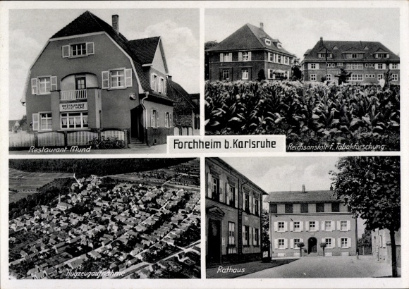 Ak Forchheim (bei Karlsruhe) Rheinstetten in Baden, Restaurant Mund, Reichsanstalt Tabakforschung
