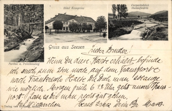 Ak Seesen am Harz, Hotel Kronprinz, Forellenstieg, Kurparksblick