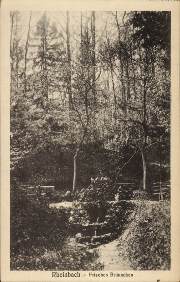 Ak Rheinbach im Rhein Sieg Kreis, Schöne Waldlandschaft, Brunnen, Bäume, Gartenbänke