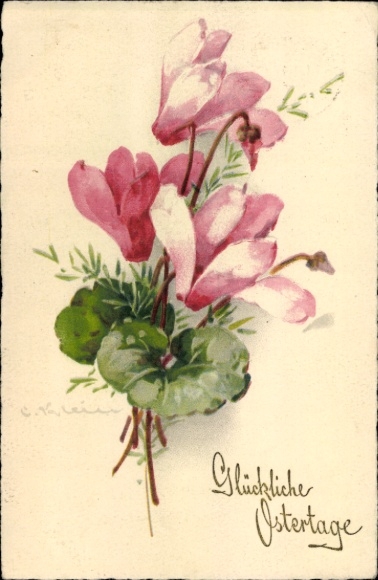 Ak Zwickau in Sachsen, Abbildung von Alpenveilchen mit Schriftzug "Glückliche Ostern"