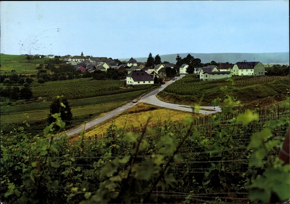 Postcard Bekond on the Moselle, view of the village, vineyard