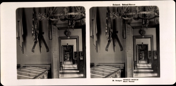 Stereo Photo Budapest Hungary, 1906, National Museum