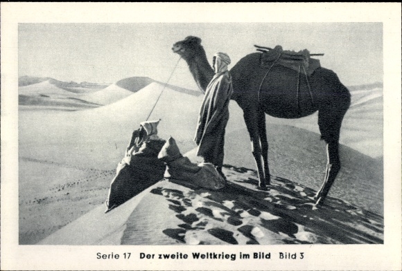 Sammelbild Der zweite Weltkrieg im Bild, Serie 17 Afrika Bild 3, Krieg in der Wüse,Kamel Meldereiter